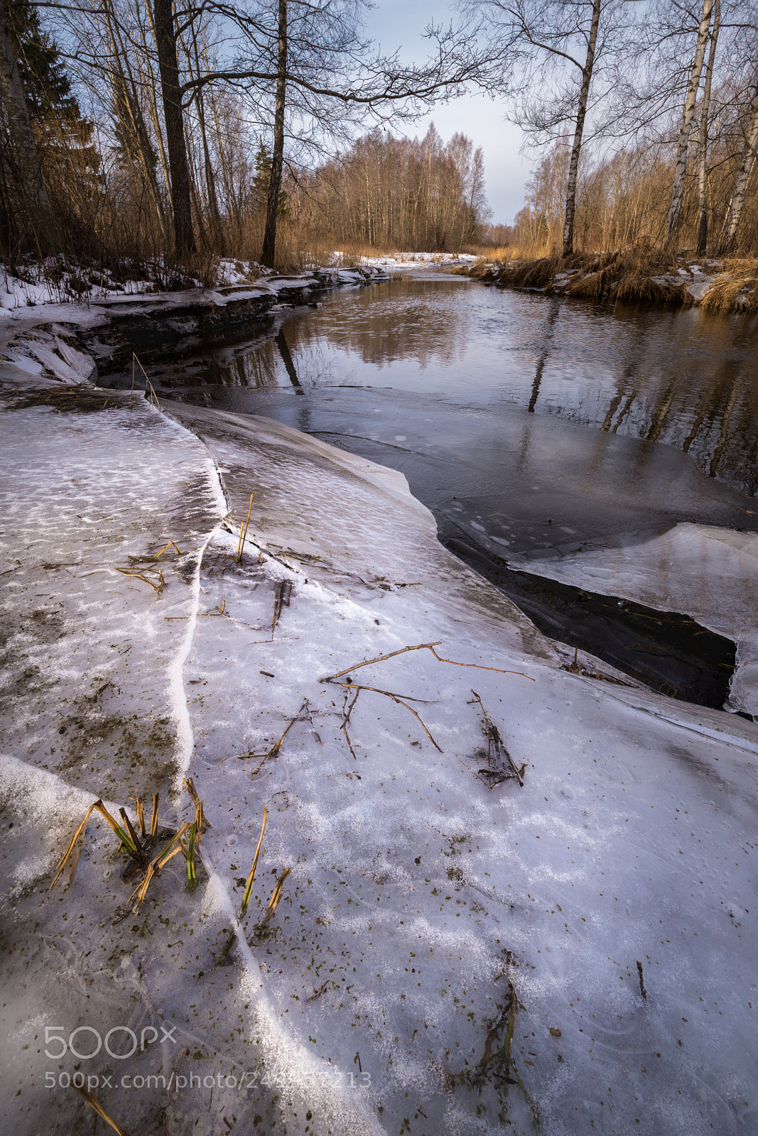 Nikon D600 sample photo. Icy river photography