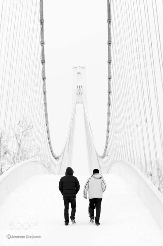 Olympus OM-D E-M1 Mark II sample photo. White bridge photography