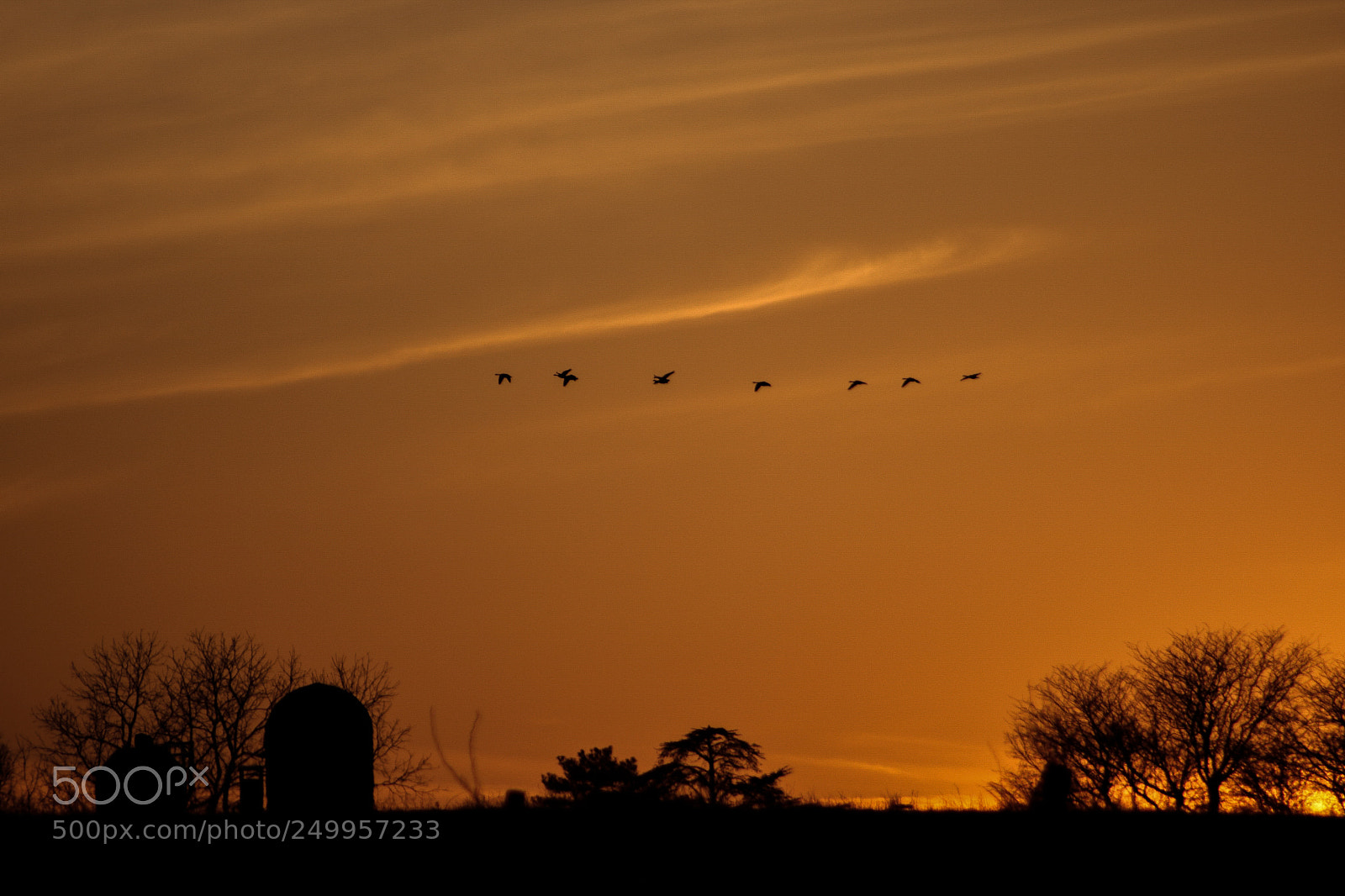 Canon EOS 750D (EOS Rebel T6i / EOS Kiss X8i) sample photo. Flight at dusk photography
