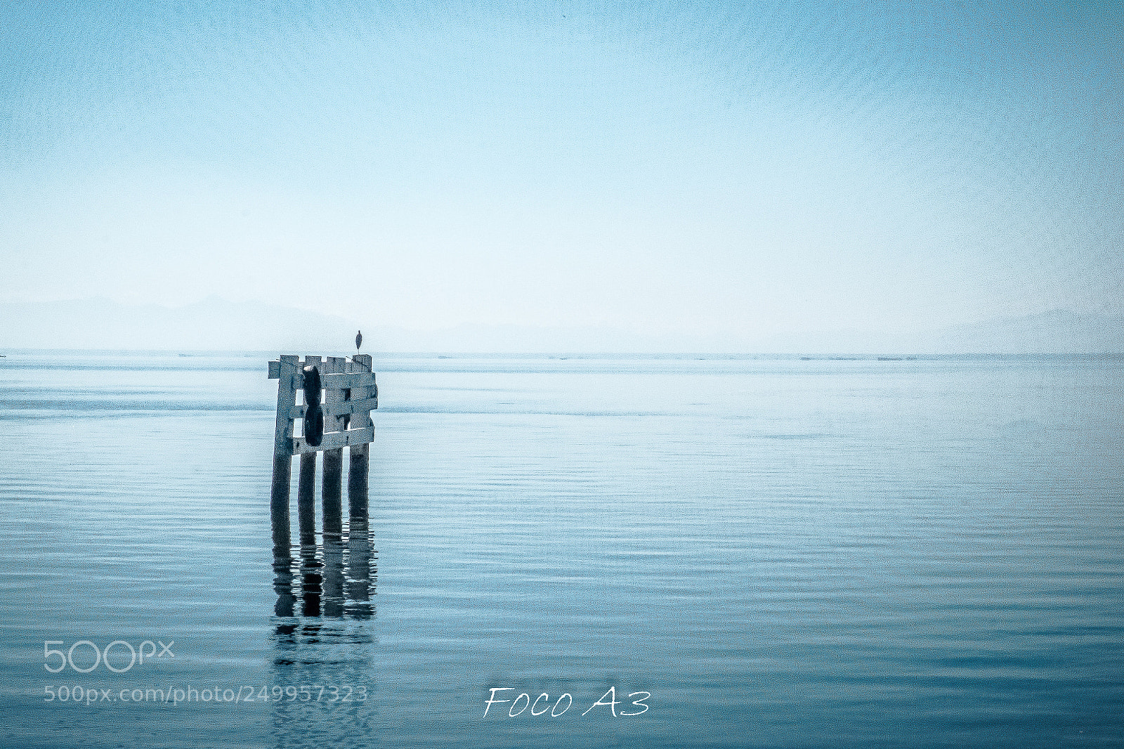 Fujifilm X-Pro1 sample photo. Untitled photography
