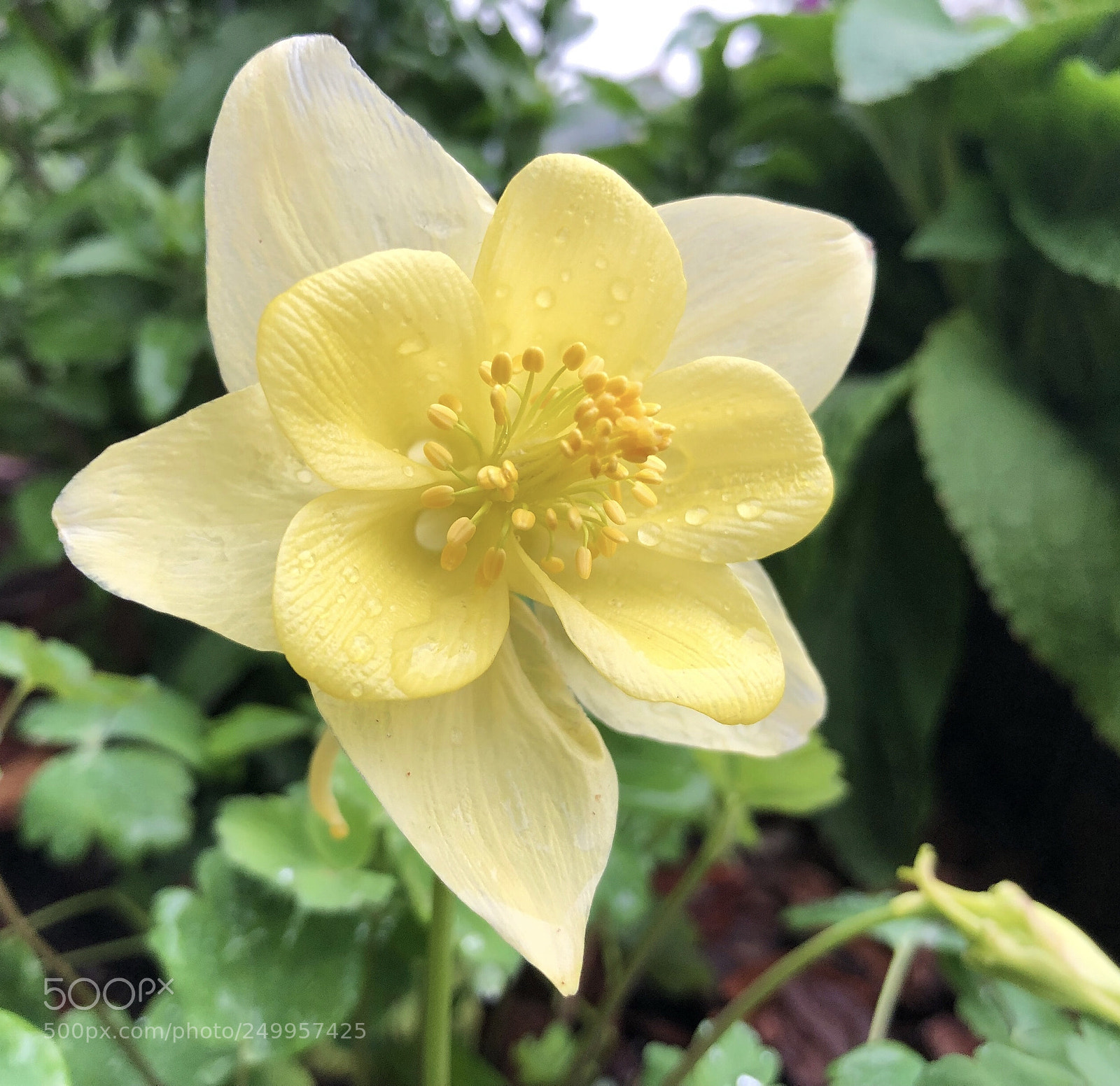 Apple iPhone X sample photo. Untitled photography