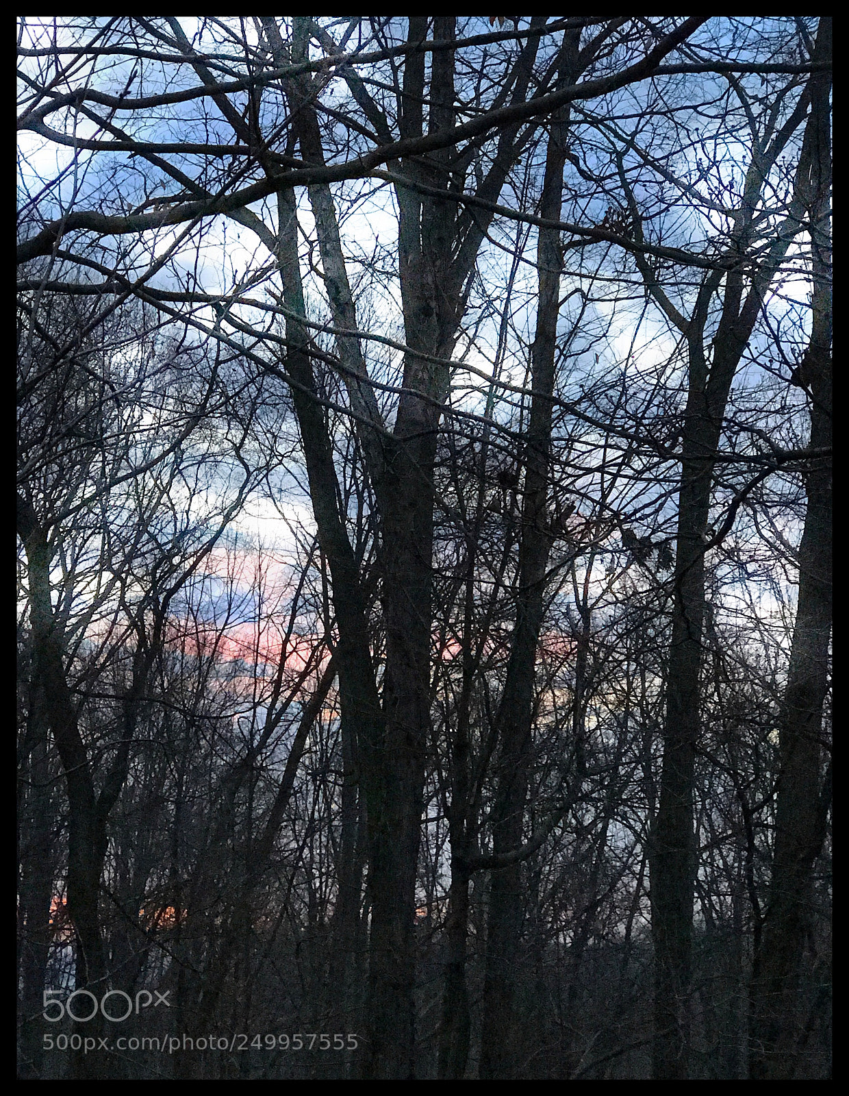 Apple iPhone 7 Plus sample photo. Untitled photography