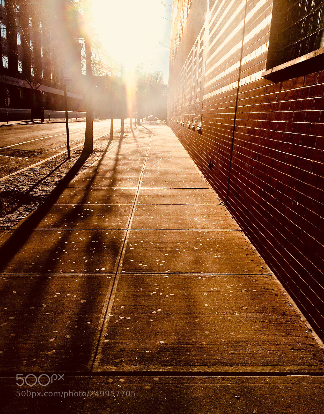 Apple iPhone 6 Plus sample photo. “rusty alley” photography
