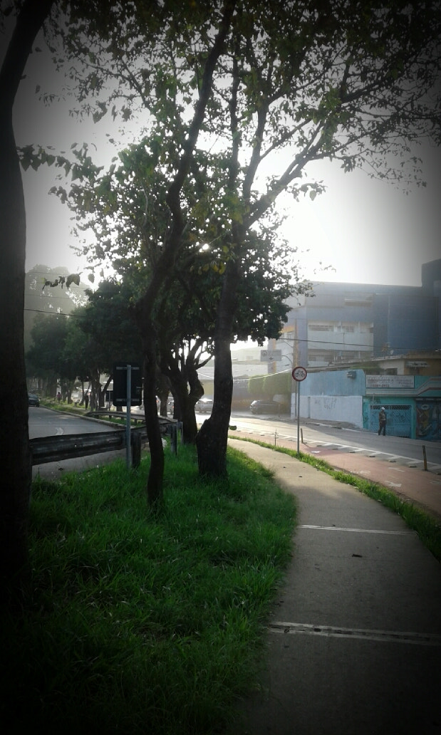 Samsung Galaxy J1(2016) sample photo