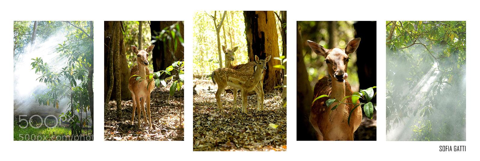 Nikon D90 sample photo. Untitled photography