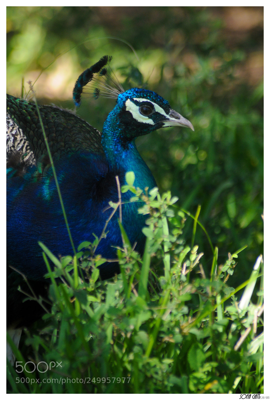 Nikon D90 sample photo. Untitled photography