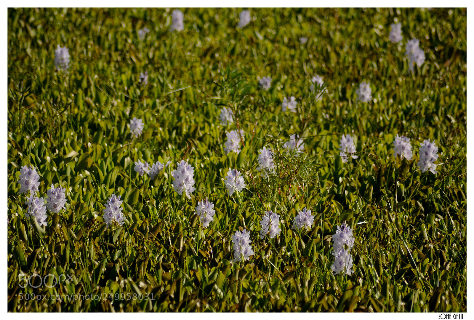 Nikon D90 sample photo. Untitled photography