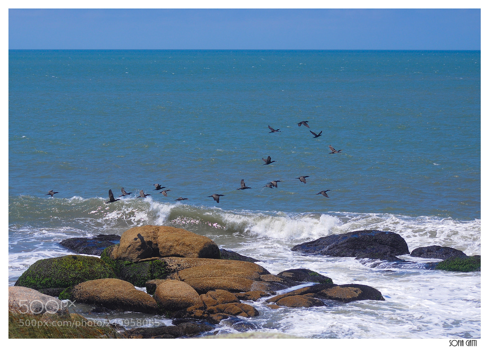 Nikon D90 sample photo. Vuelos photography