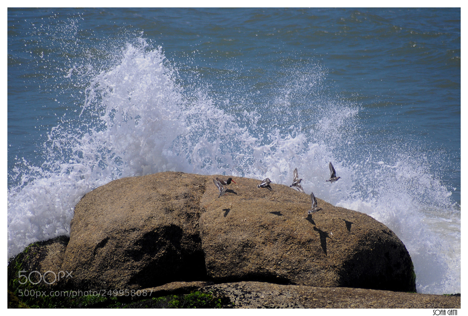 Nikon D90 sample photo. Estallido photography