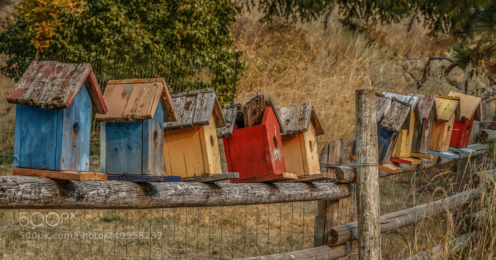 Canon EOS 7D Mark II sample photo. Birdhouse photography