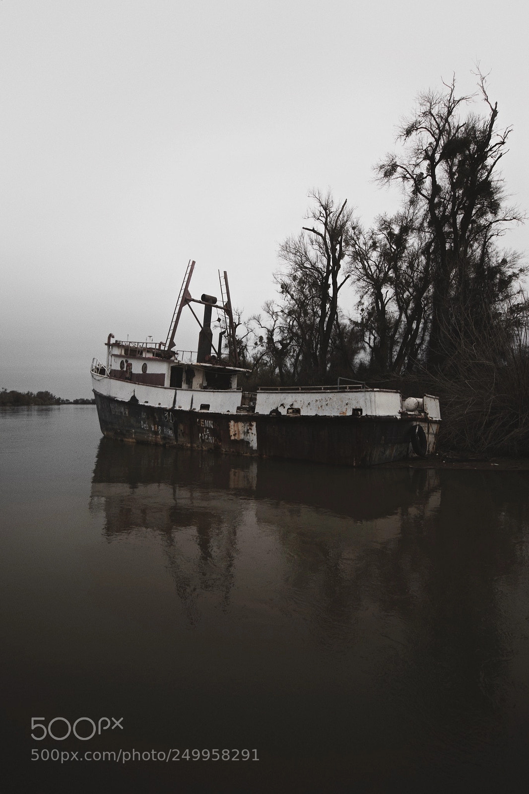 Canon EOS 70D sample photo. Saint joseph photography