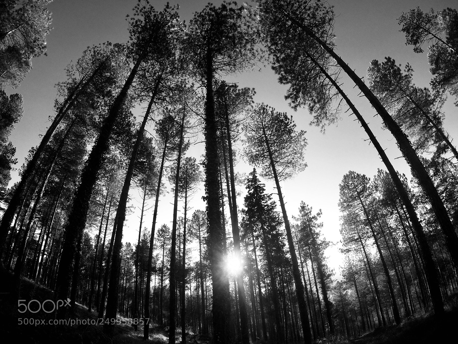 GoPro Hero5 Black sample photo. Untitled photography