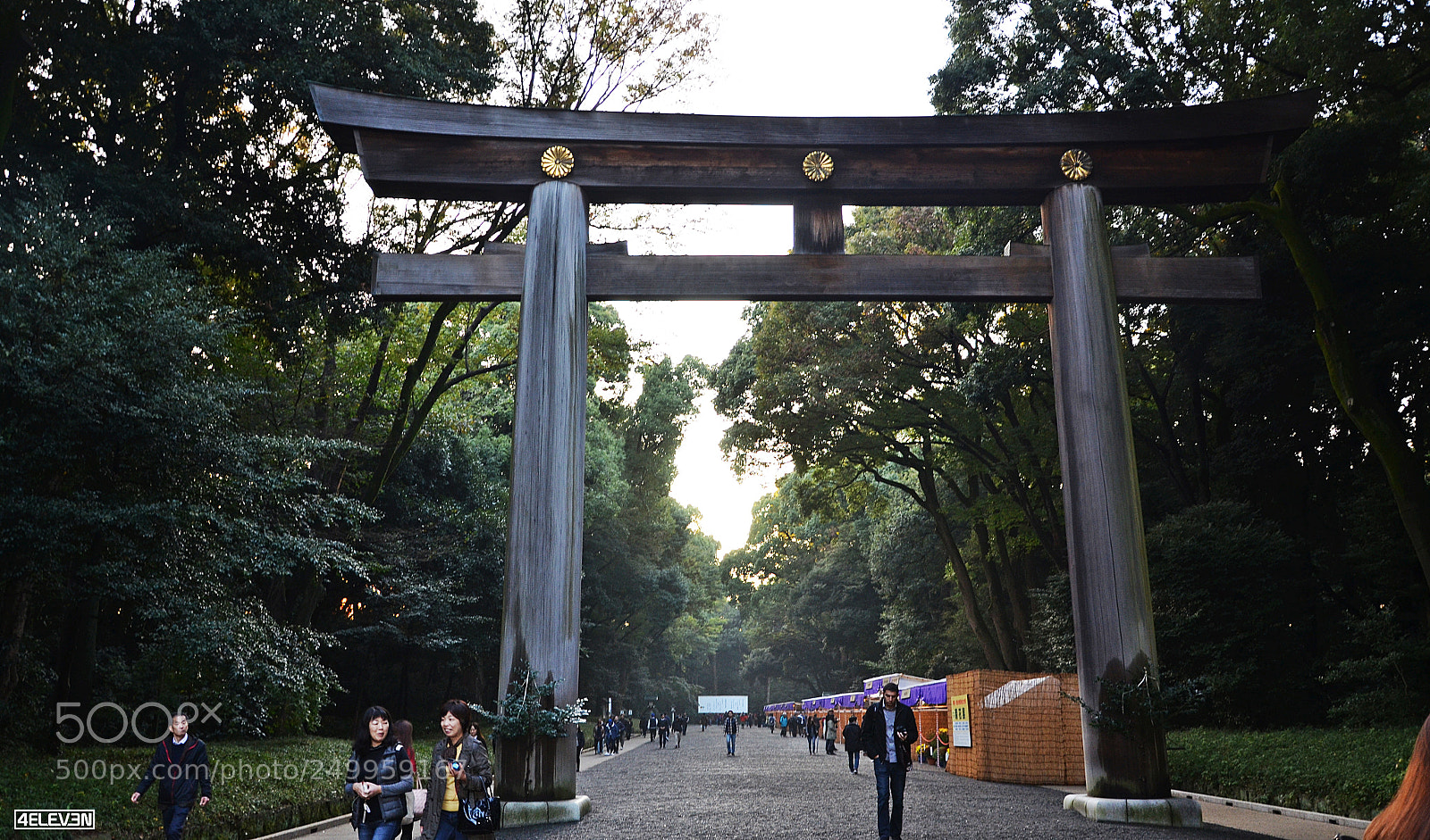 Nikon D7000 sample photo. Torii gate in shibuya photography