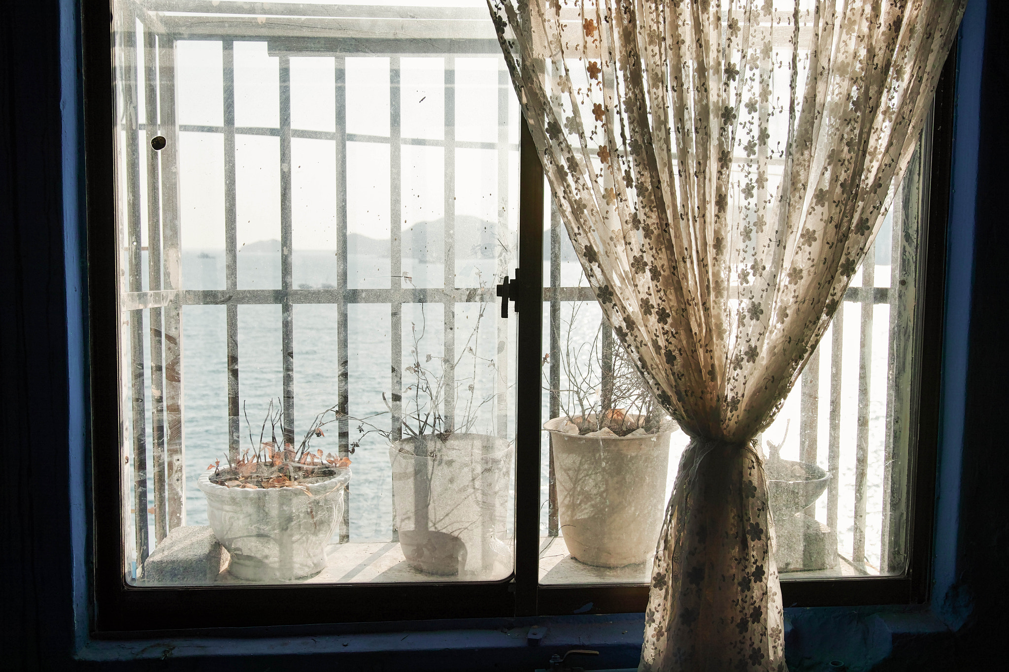 Sigma sd Quattro sample photo. Waiting for spring photography