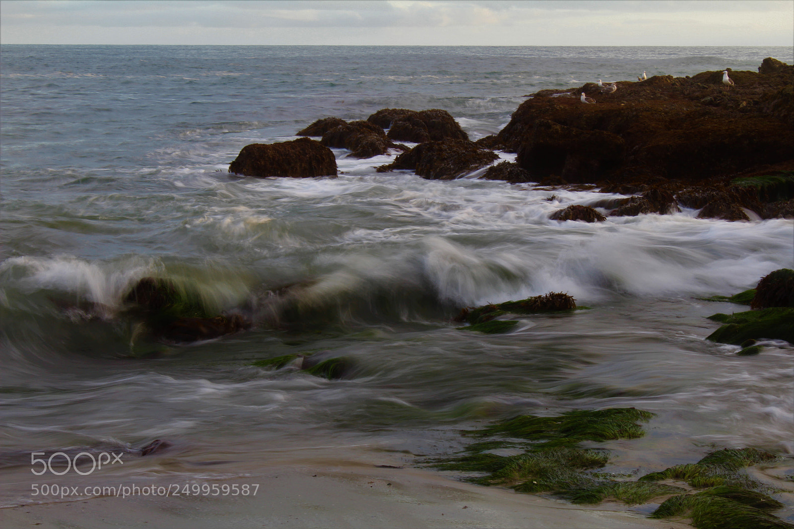 Canon EOS 1300D (EOS Rebel T6 / EOS Kiss X80) sample photo. Blissful waves photography