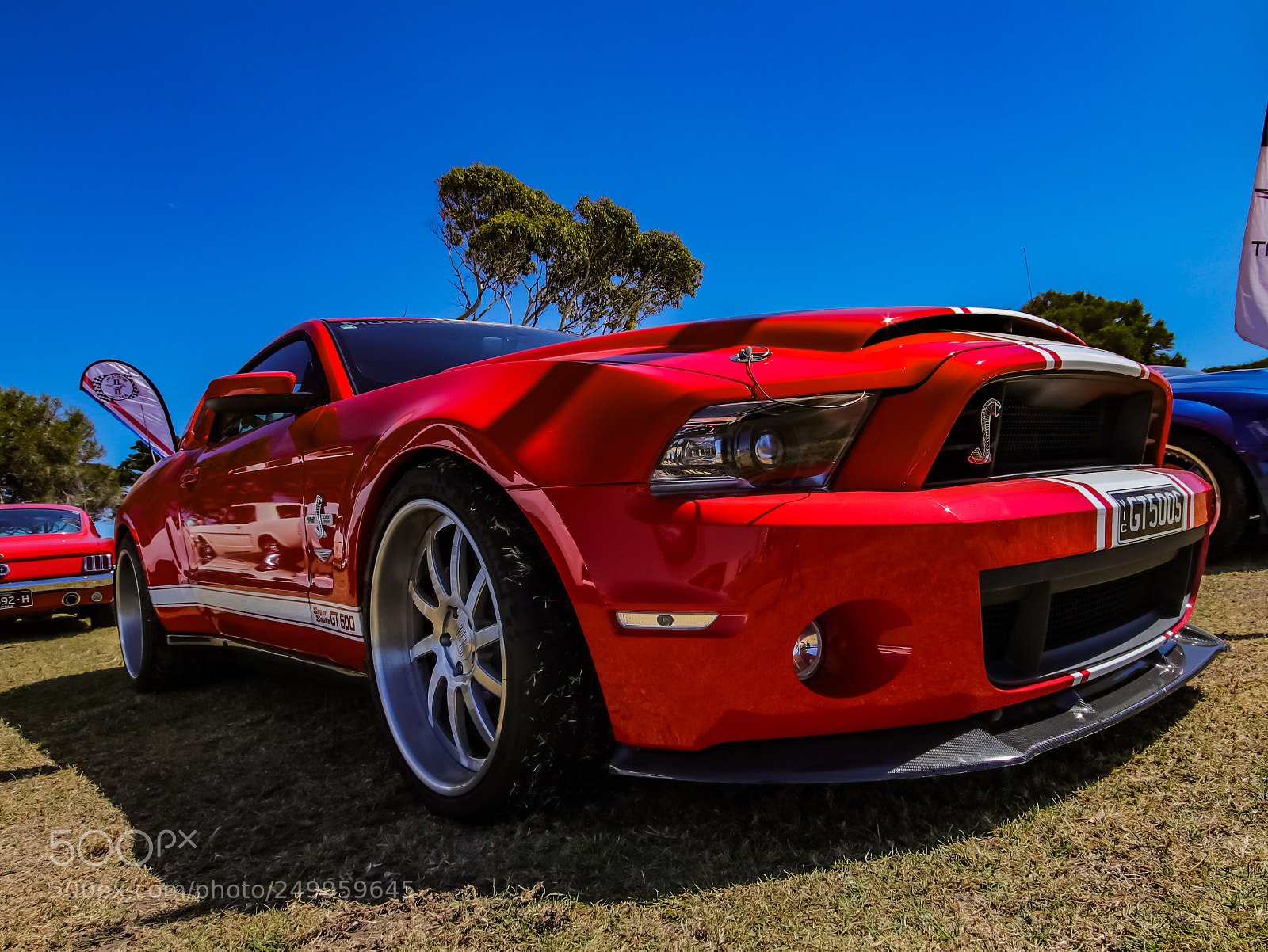 Canon EOS 80D sample photo. Super snake photography