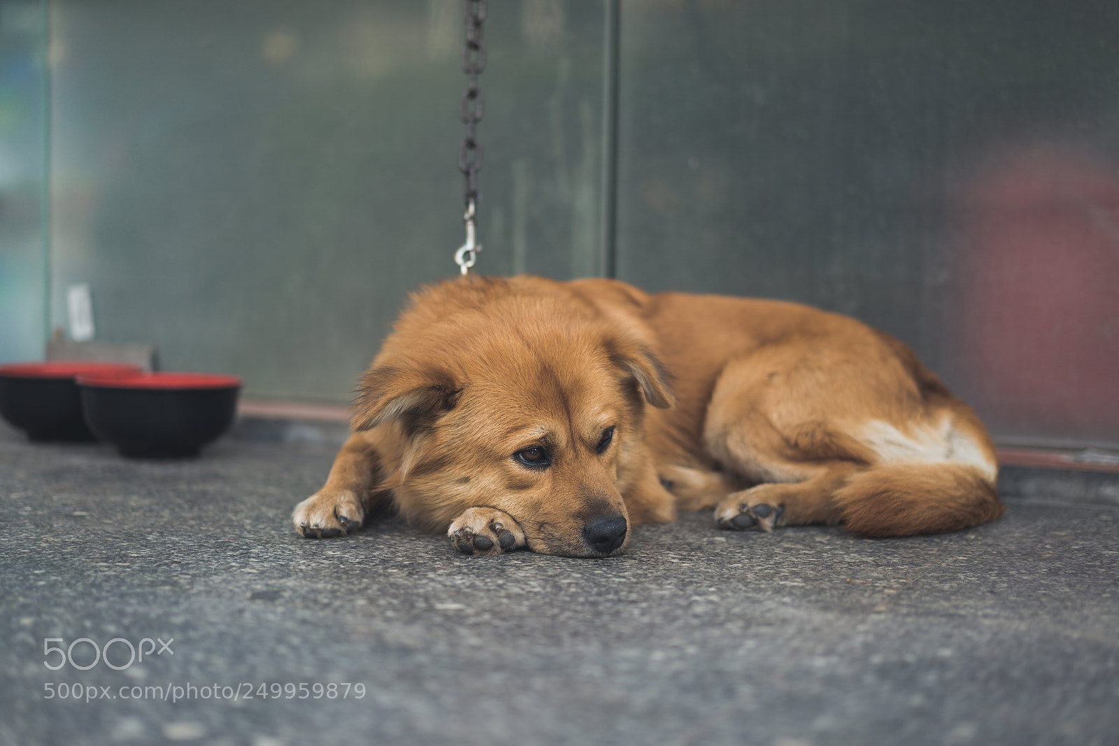 Sony a7 sample photo. 聊赖 photography
