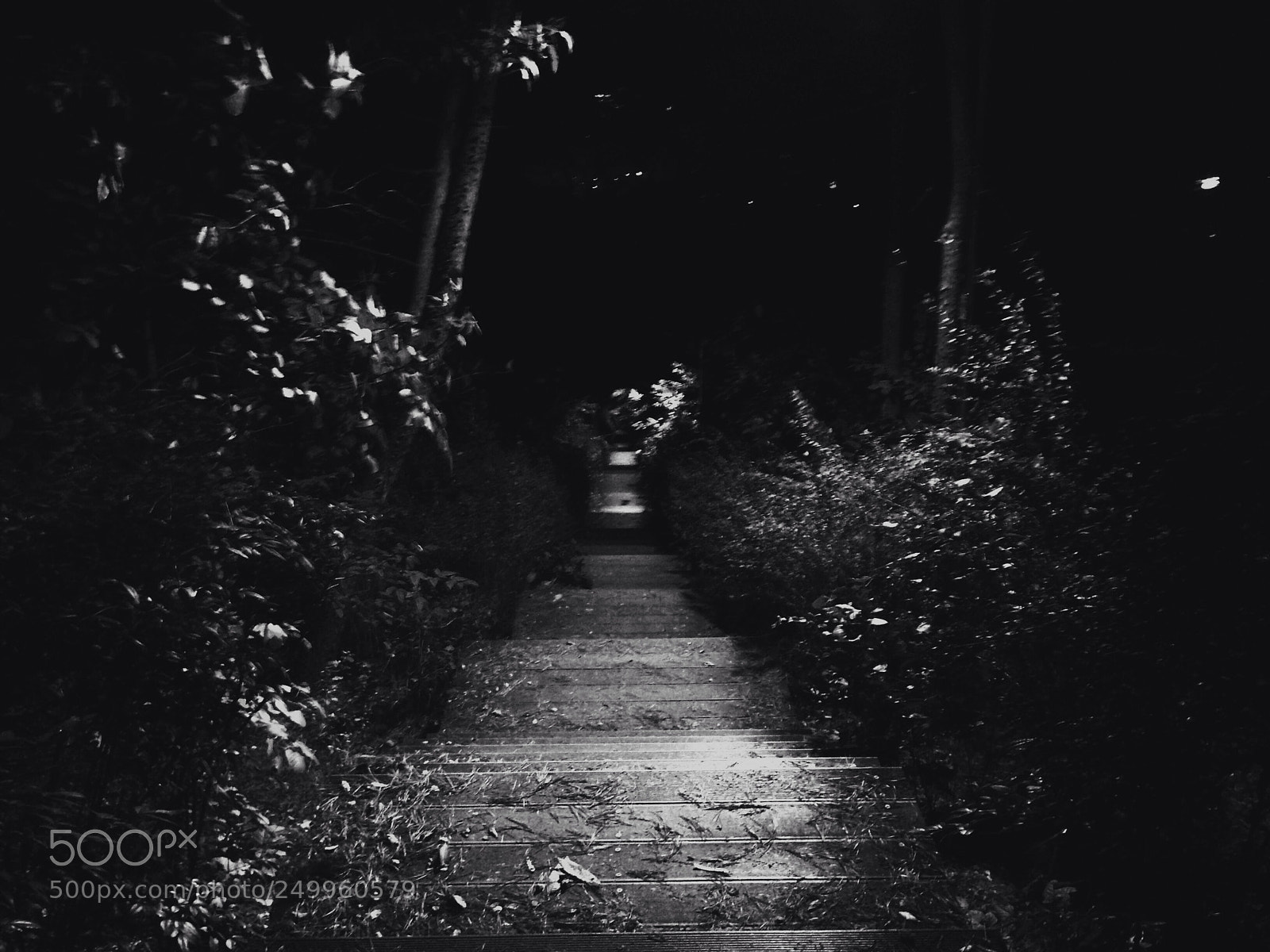 Apple iPhone 5 sample photo. Stairs photography