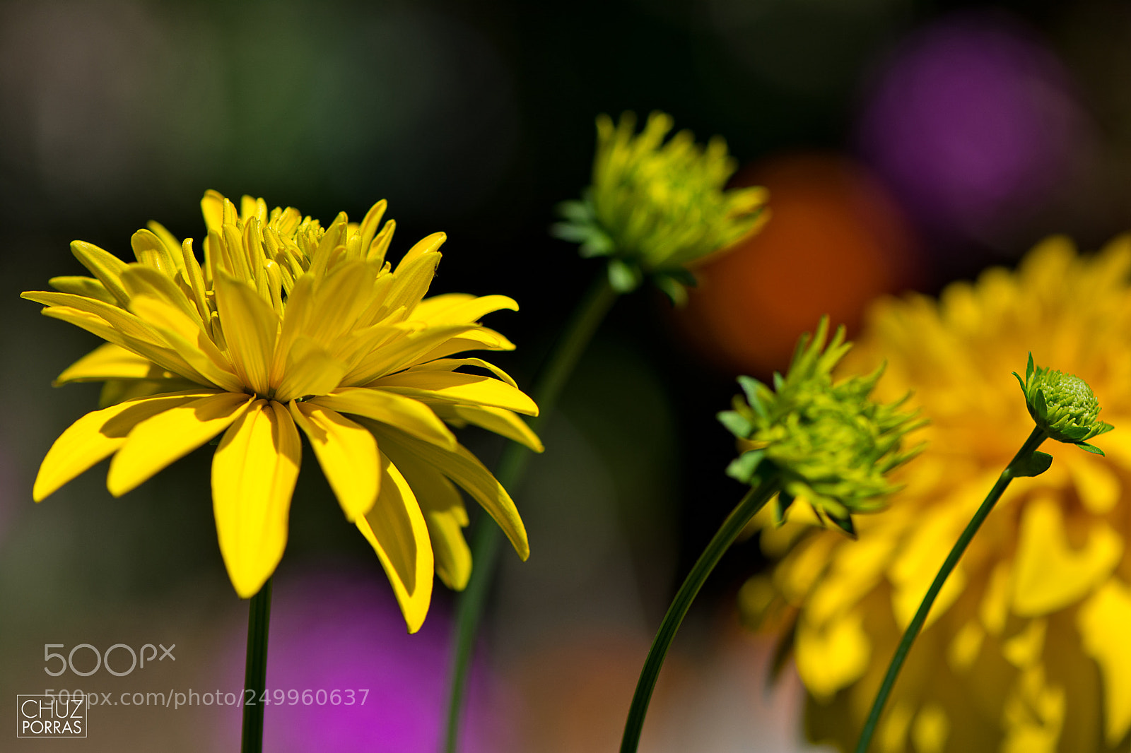 Nikon D7100 sample photo. Present and future 3 photography