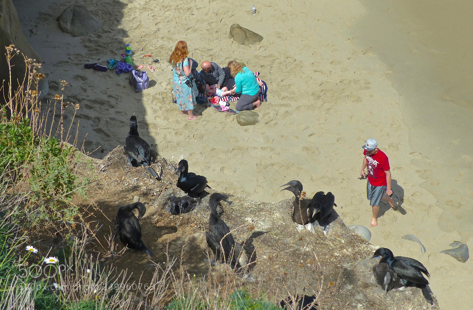 Panasonic Lumix DMC-FZ200 sample photo. Families on a sunny photography