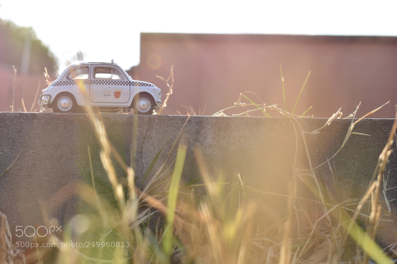 Nikon D3400 sample photo. Un clásico. photography