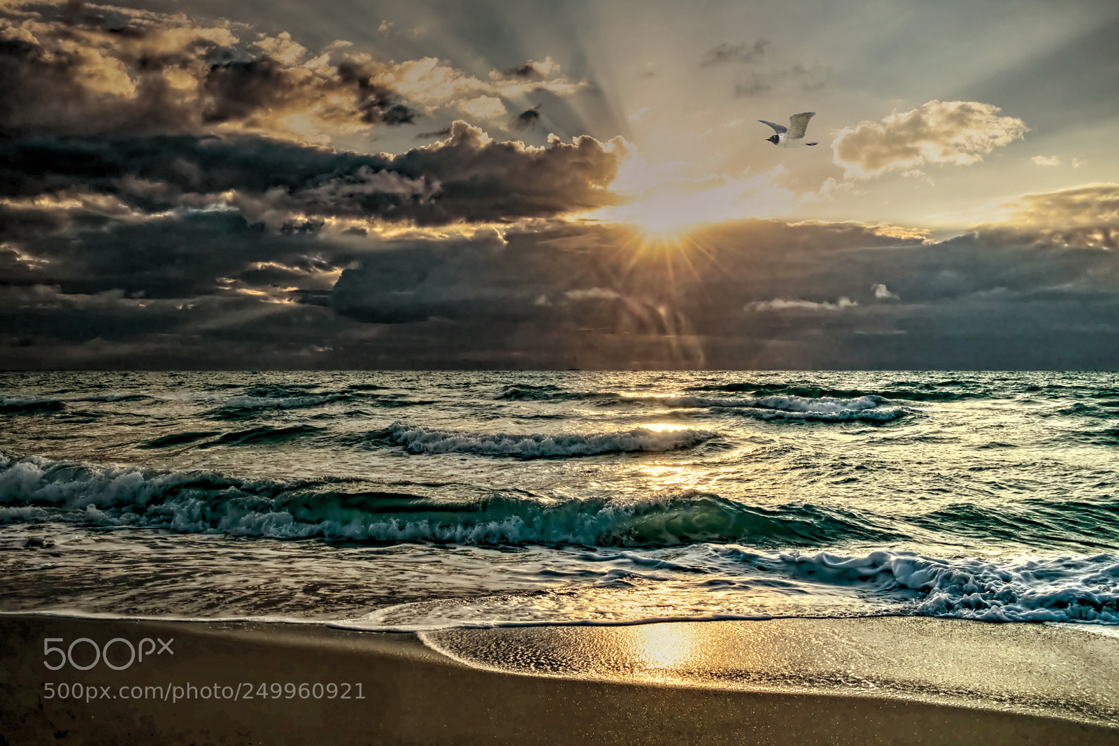 Fujifilm X-T1 sample photo. Morning beach photography