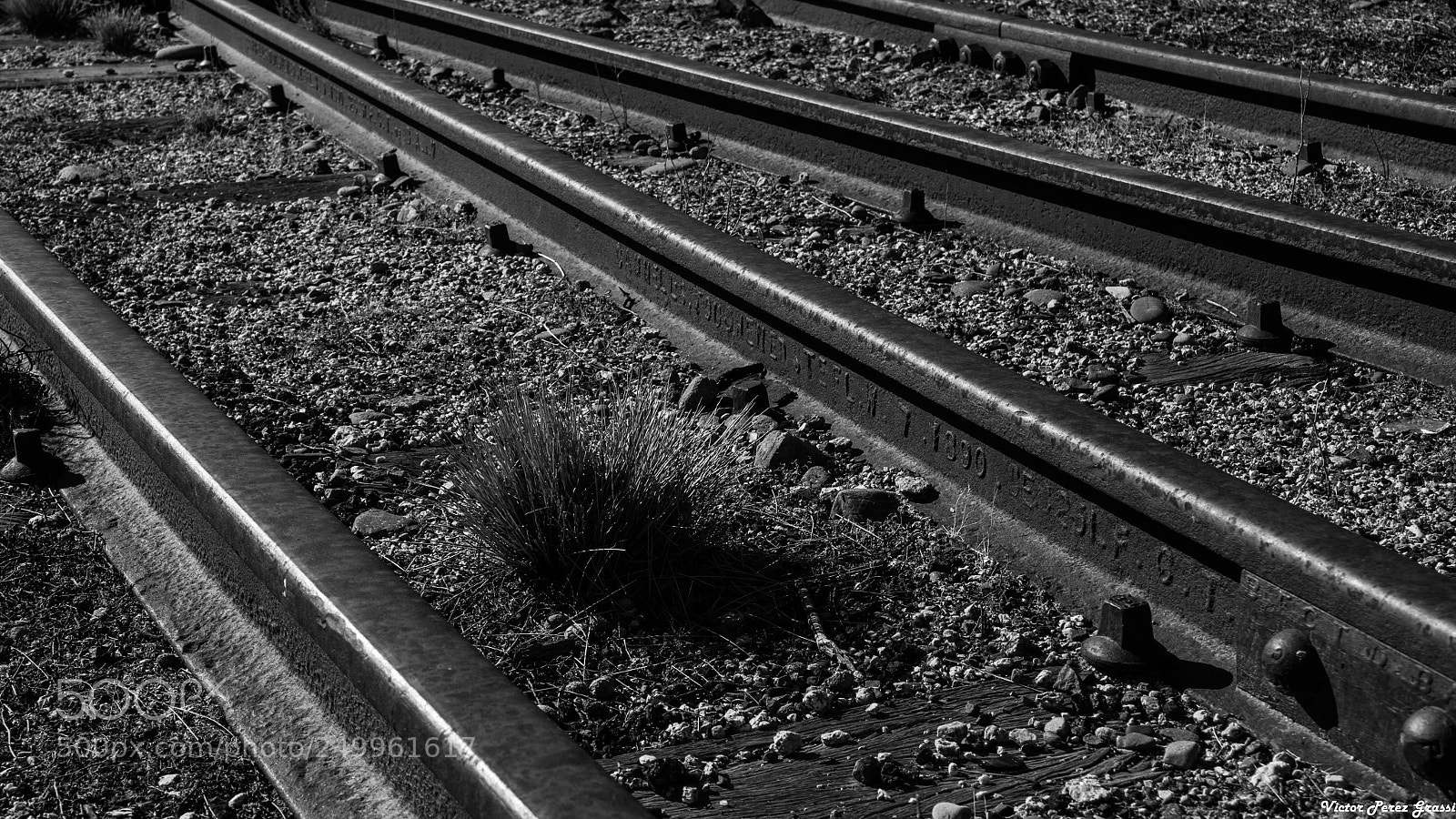 Nikon D7200 sample photo. The old train tracks photography