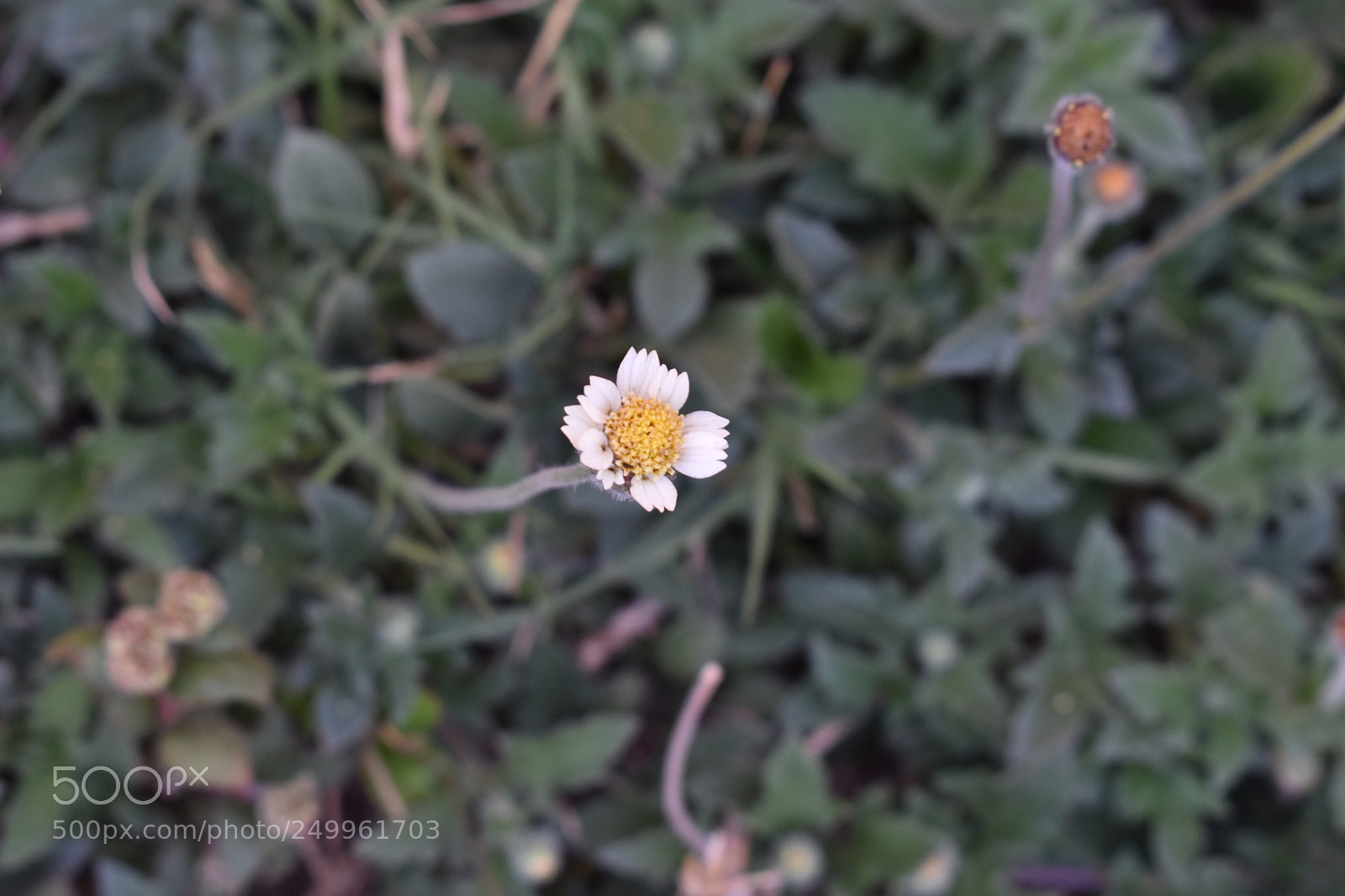 Nikon D3400 sample photo. ¡perfecta! photography