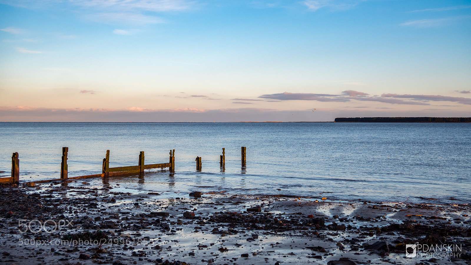 Olympus OM-D E-M5 II sample photo. Out towards tentsmuir forest photography