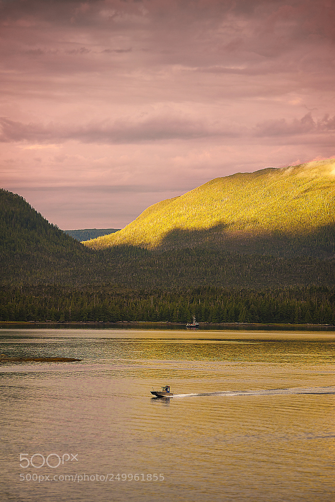 Nikon D90 sample photo. Golden reflection photography