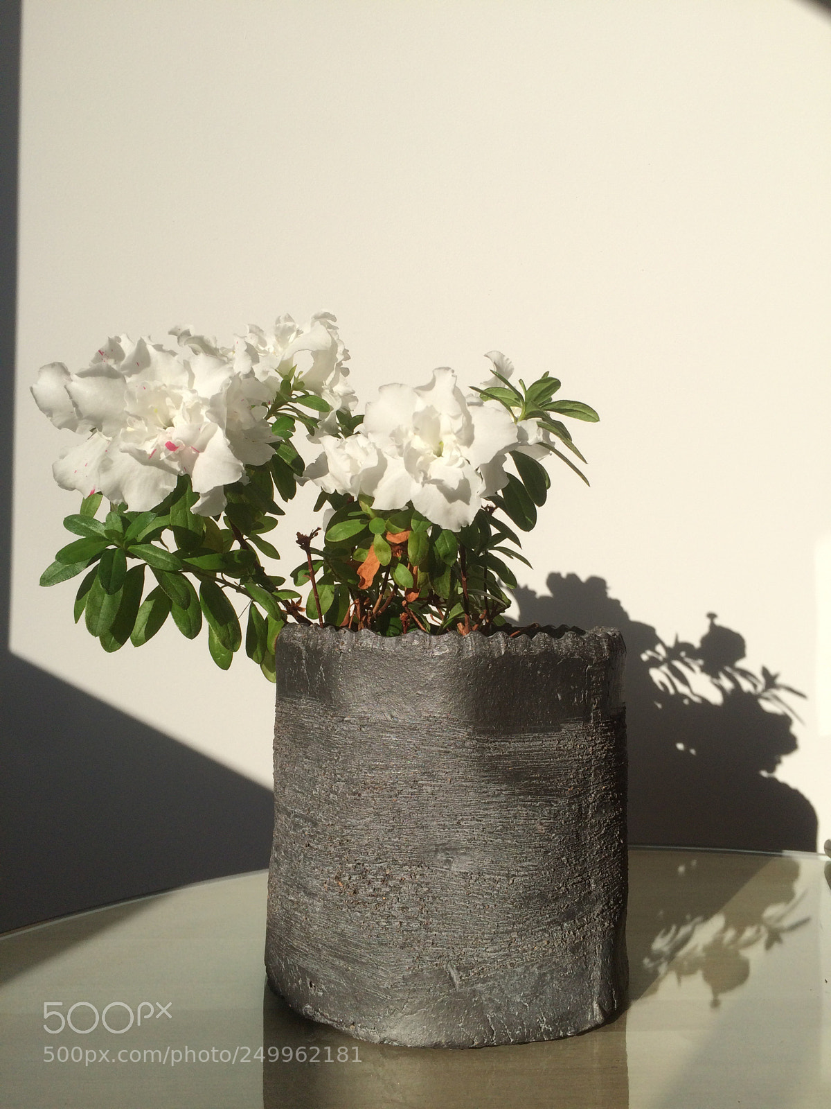Apple iPhone 5s sample photo. Untitled photography