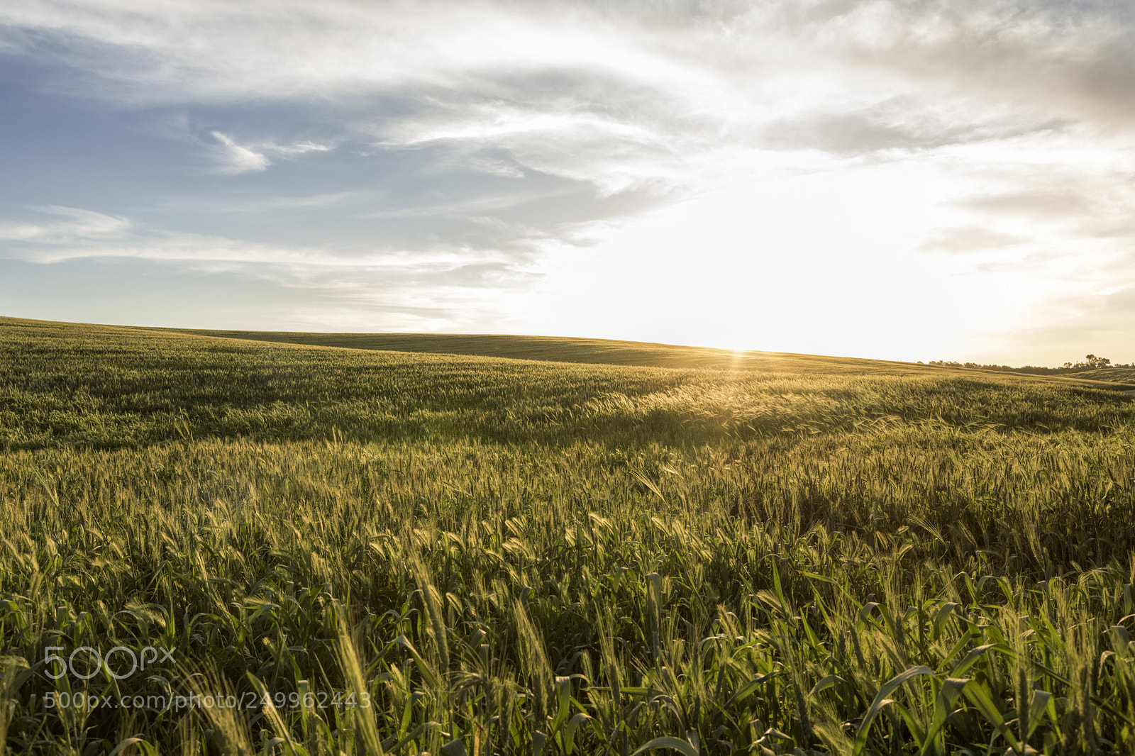 Canon EOS 5D Mark IV sample photo. Pora photography