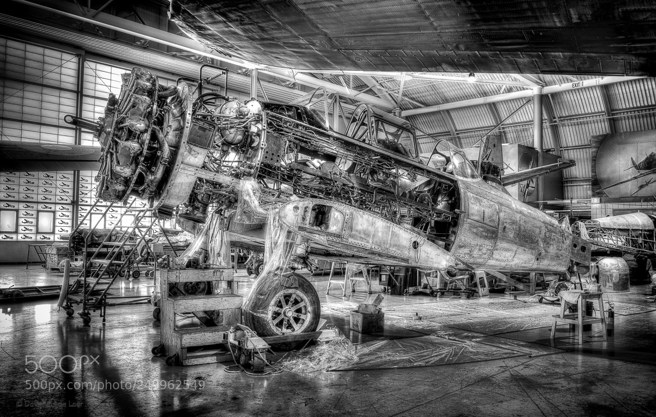 Nikon D810 sample photo. 1951 north american harvard photography