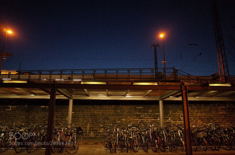Ricoh GR sample photo. Untitled photography