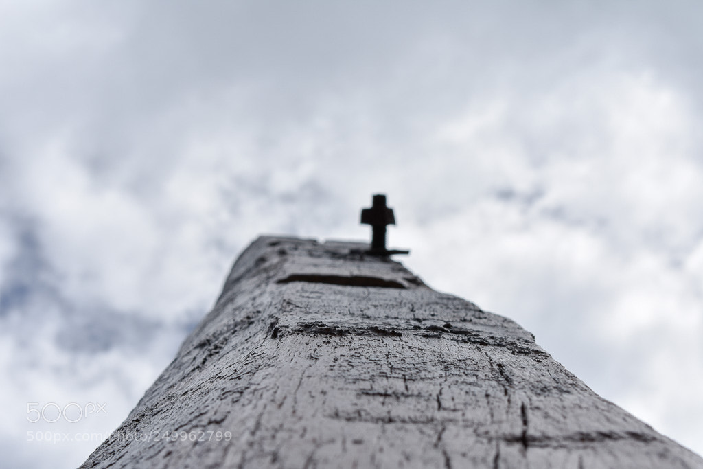 Nikon D3400 sample photo. Weather worn pole photography
