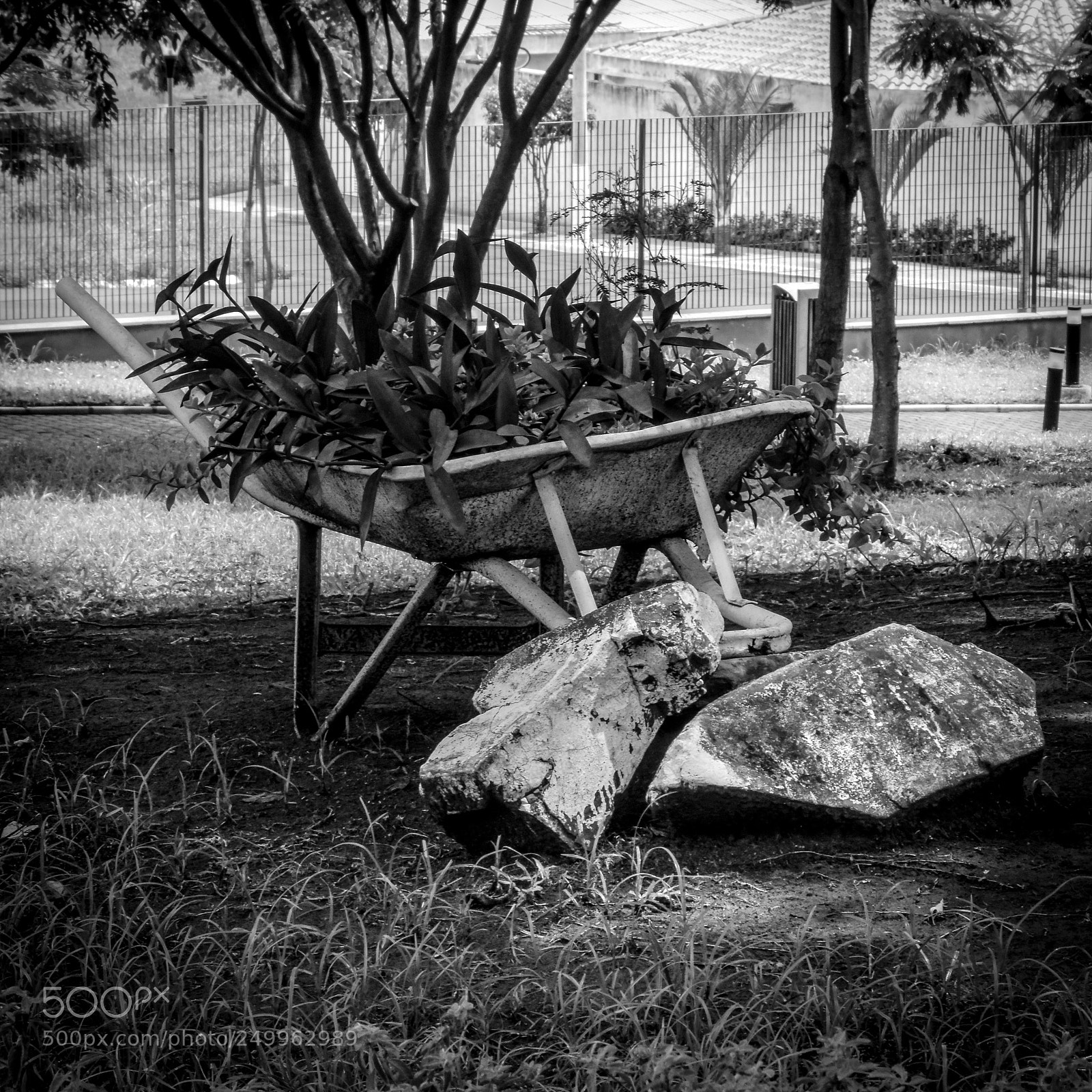 Nikon D5300 sample photo. Wheelbarrow with flowers photography