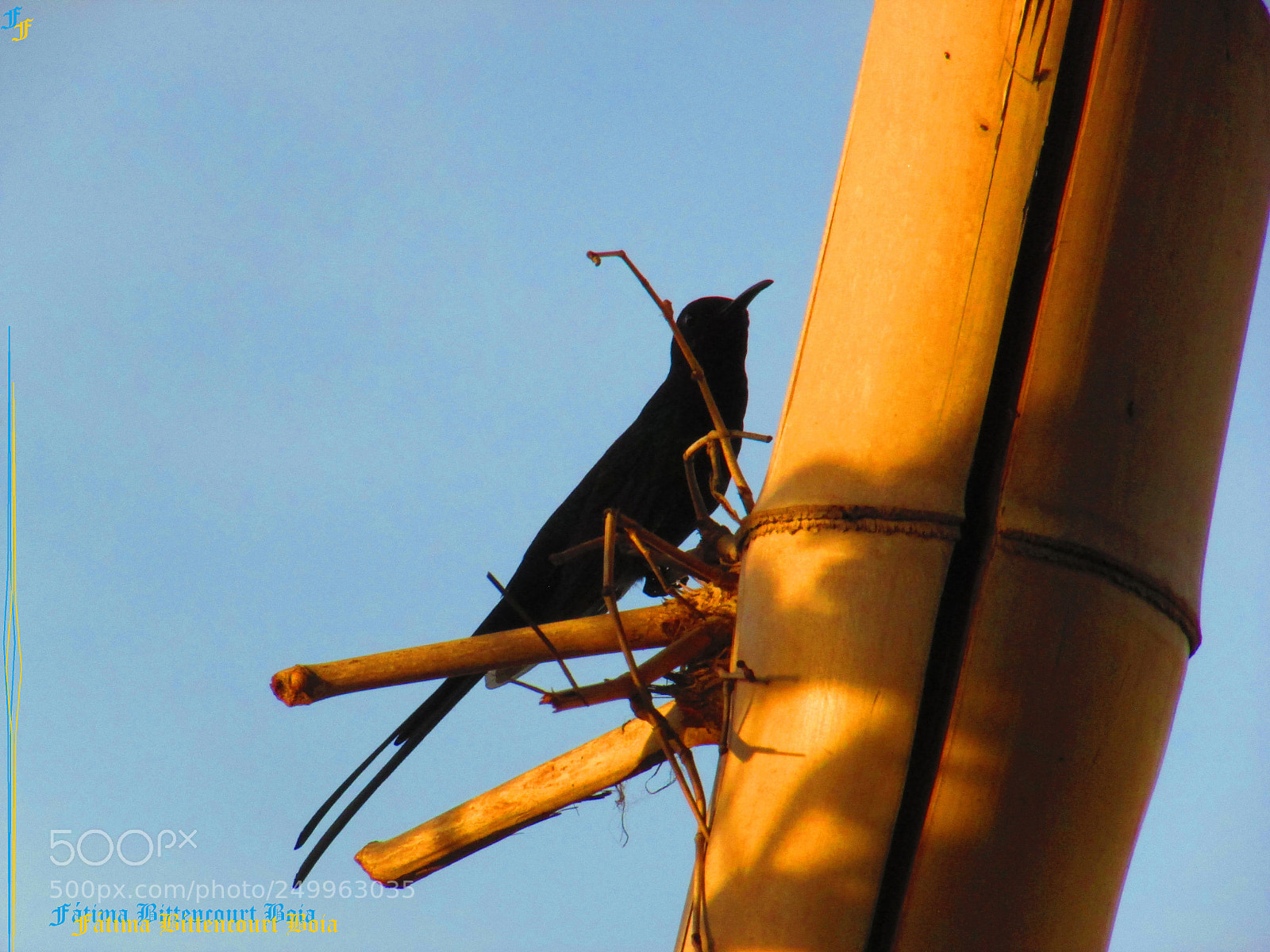 Canon PowerShot SX500 IS sample photo. 181.jpg photography