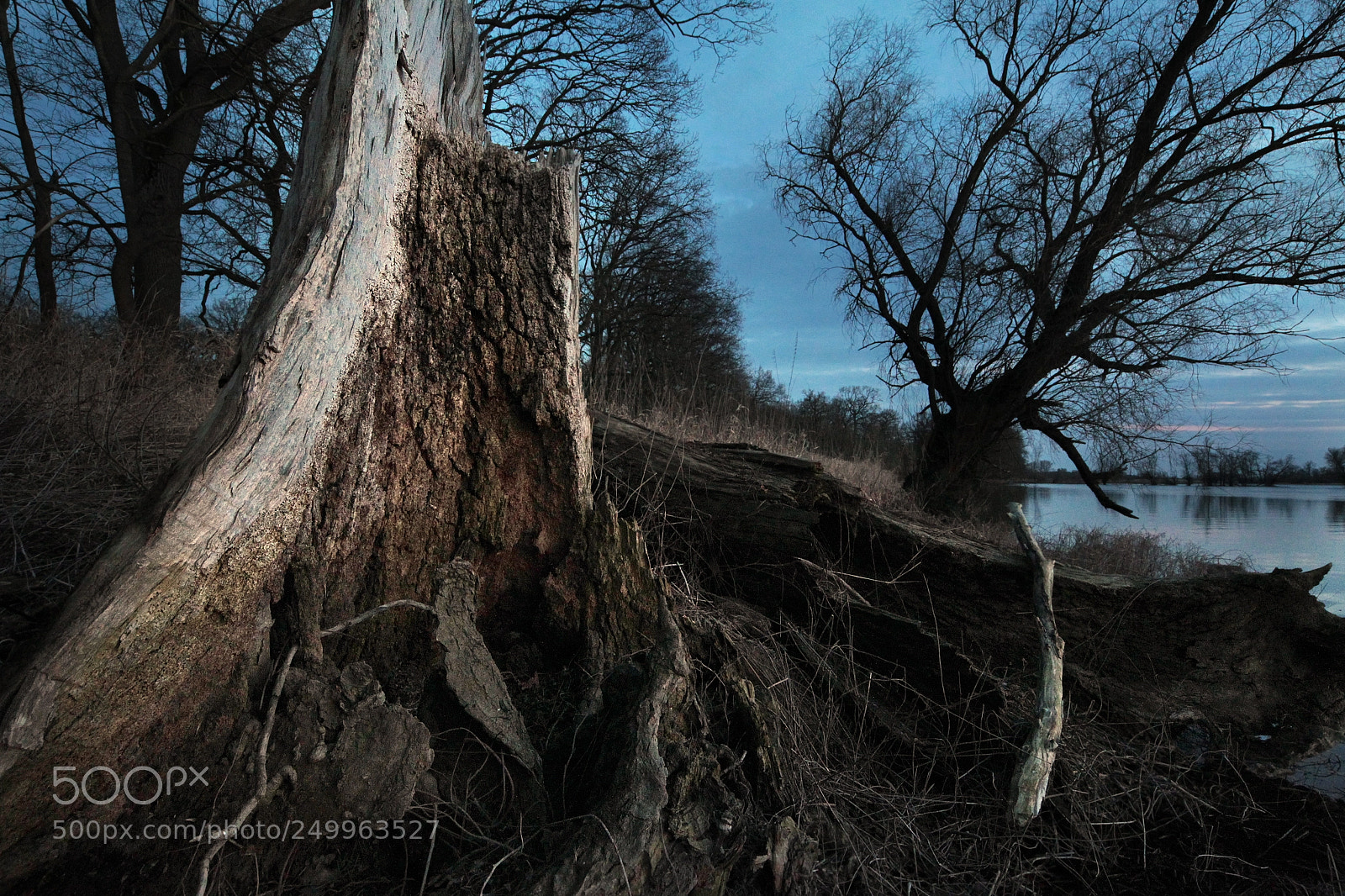 Canon EOS-1D Mark IV sample photo. Untitled photography