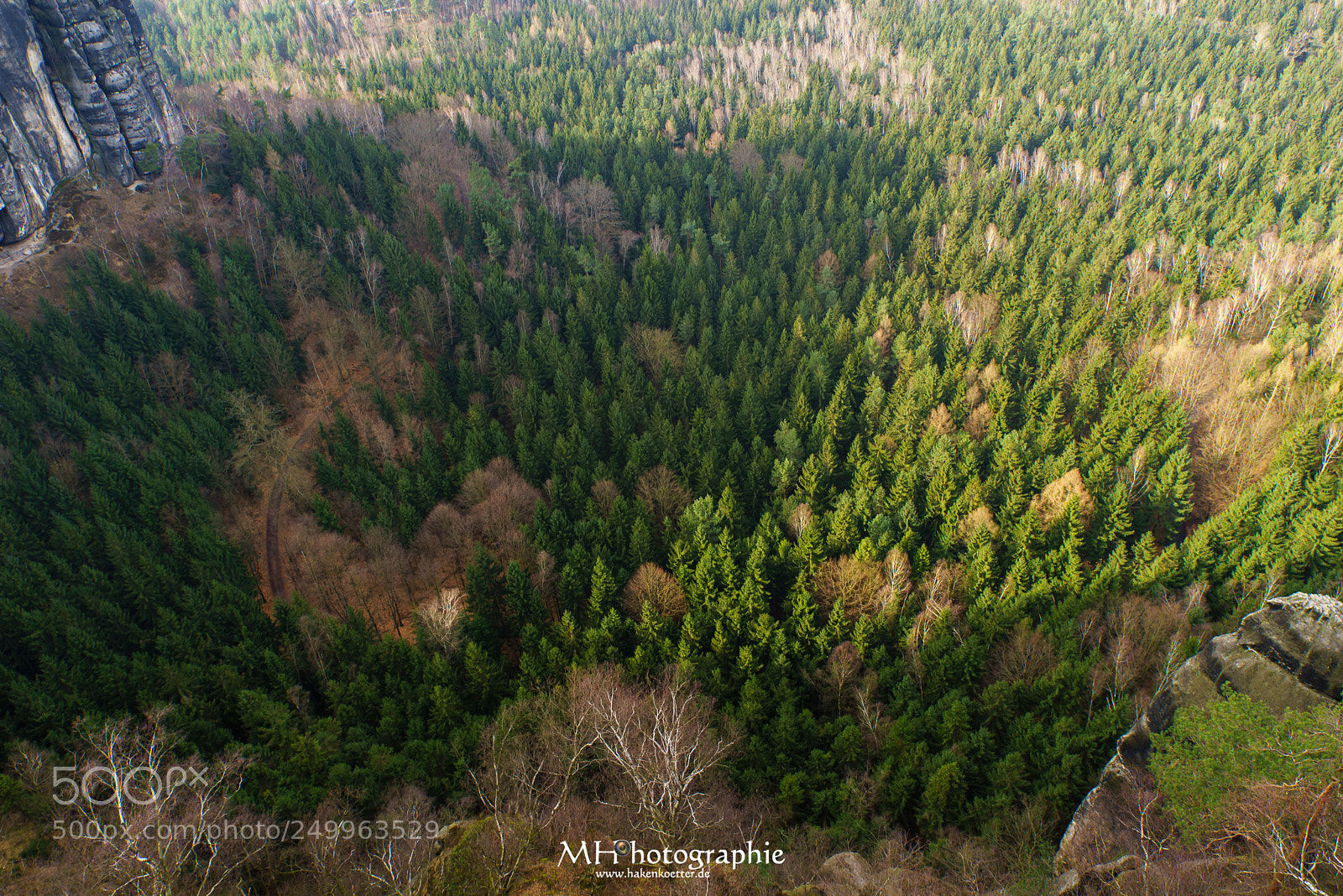 Sony a7R sample photo. View from above photography