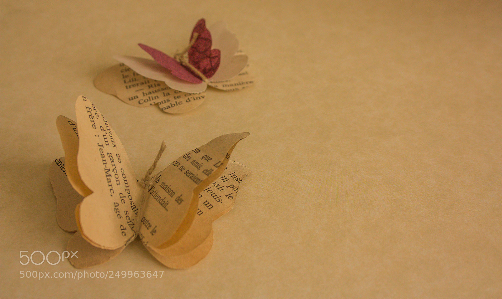 Canon EOS 450D (EOS Rebel XSi / EOS Kiss X2) sample photo. Paper butterflies photography