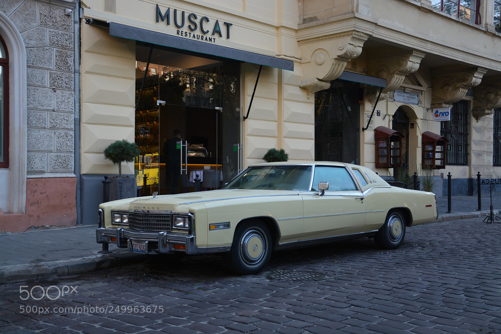Nikon D7100 sample photo. Cadillac photography