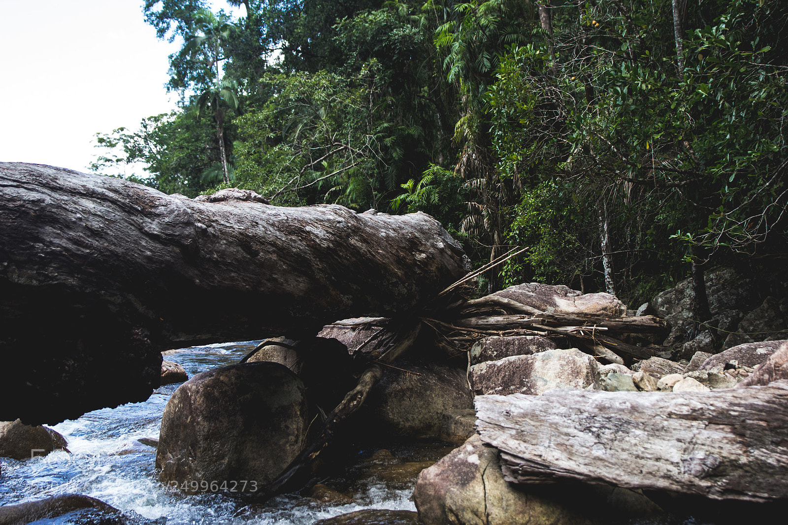 Canon EOS 60D sample photo. Finch hatton - waterfalls photography