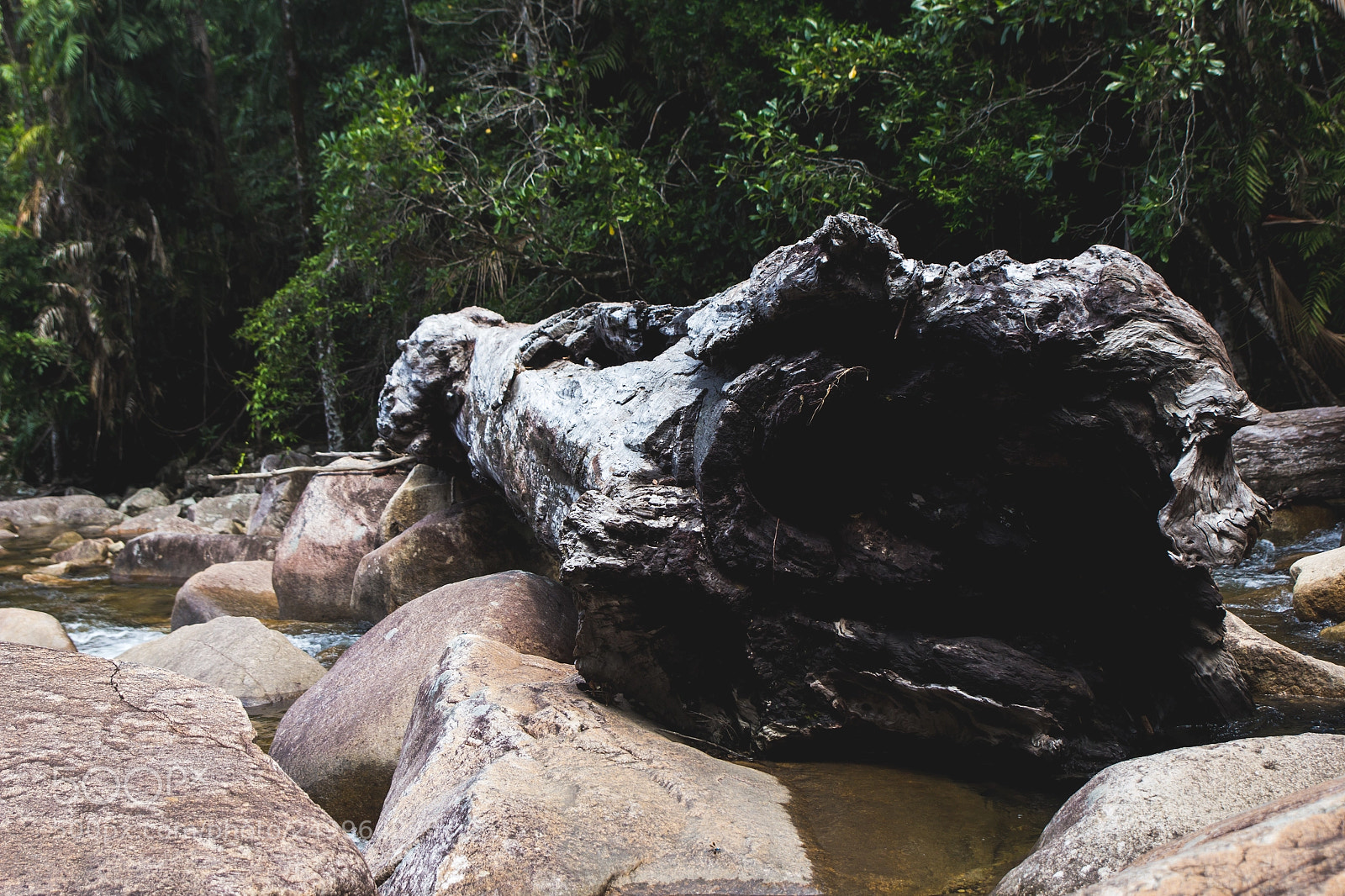 Canon EOS 60D sample photo. Finch hatton - waterfalls photography
