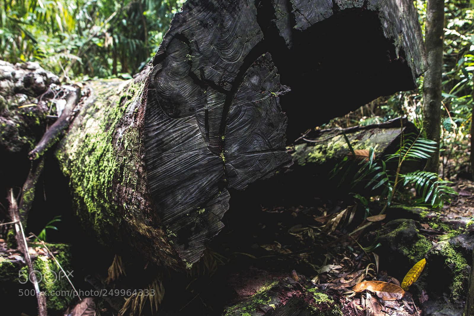 Canon EOS 60D sample photo. Finch hatton - waterfalls photography