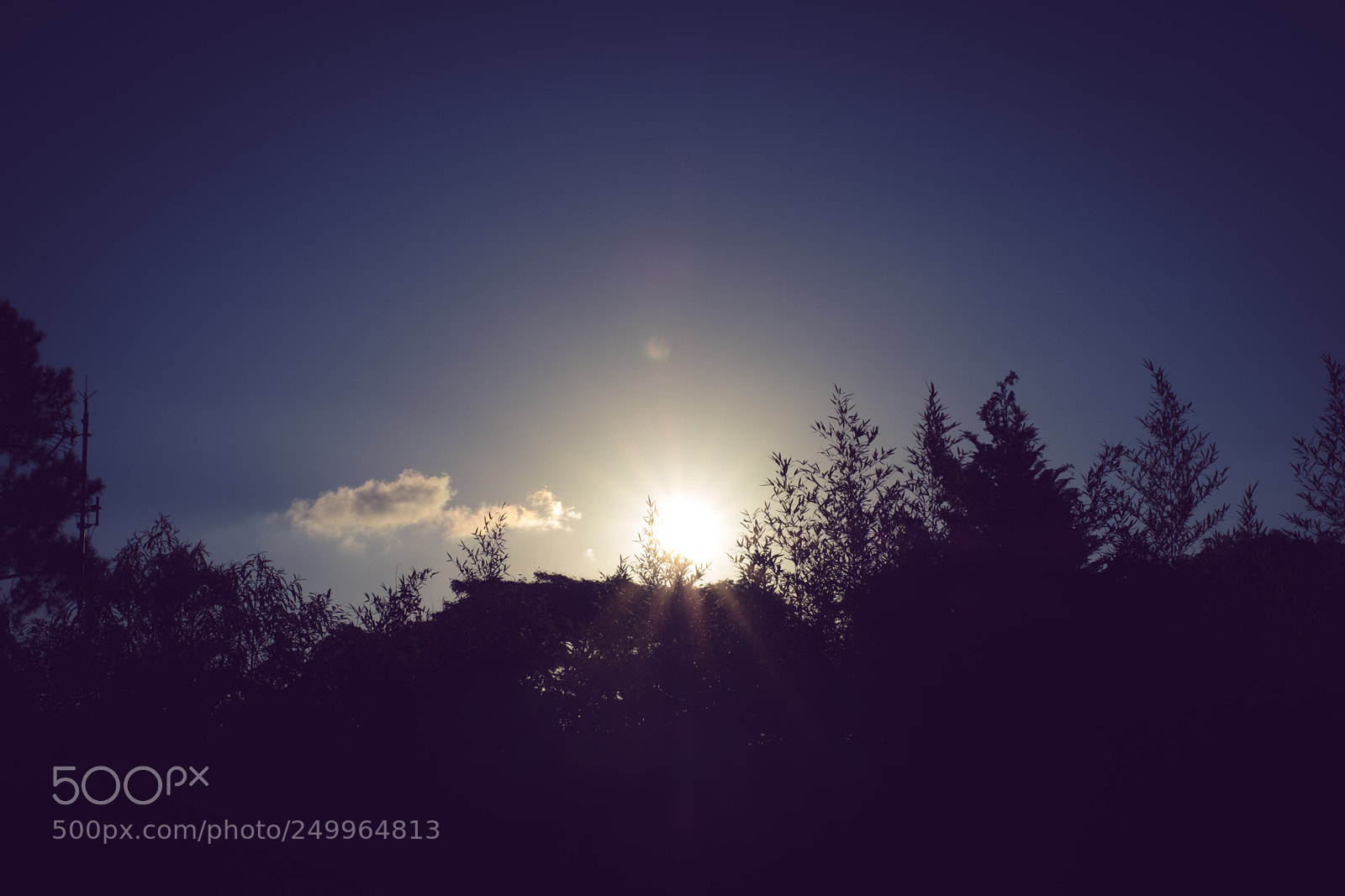 Fujifilm X-T2 sample photo. Untitled photography