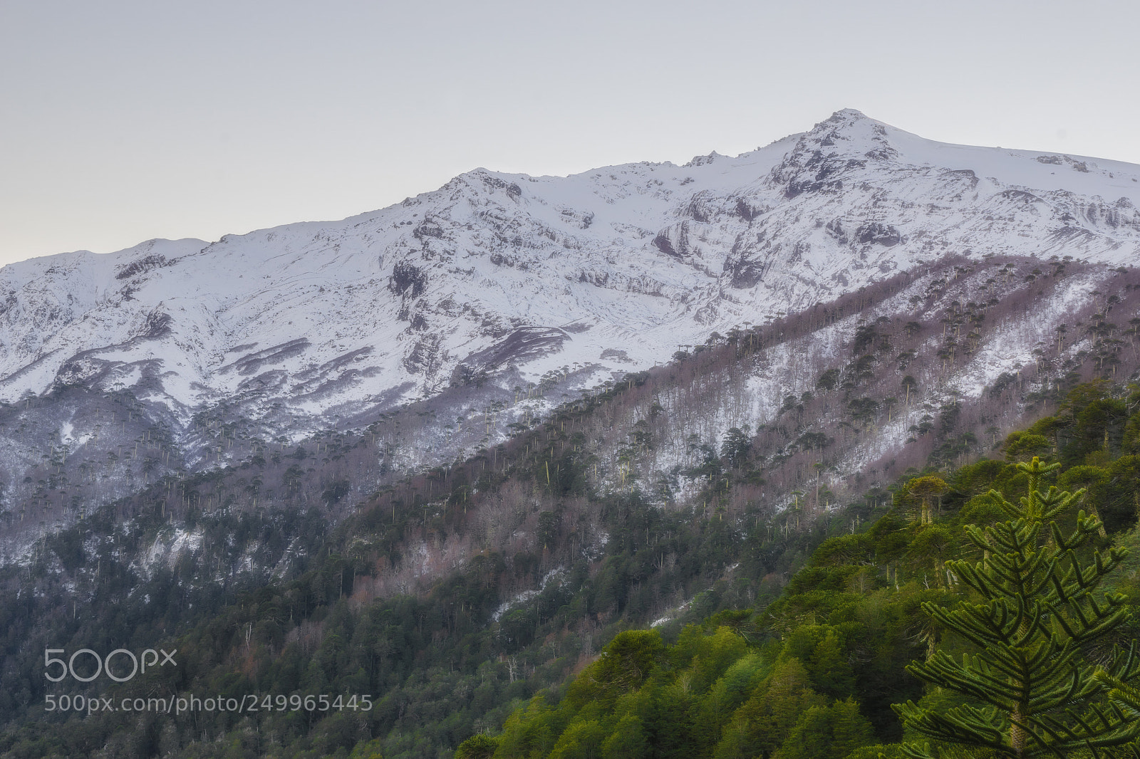 Sony ILCA-77M2 sample photo. Paradise photography