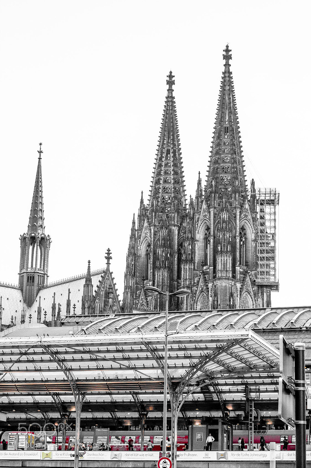 Canon EOS 600D (Rebel EOS T3i / EOS Kiss X5) sample photo. Survivor photography