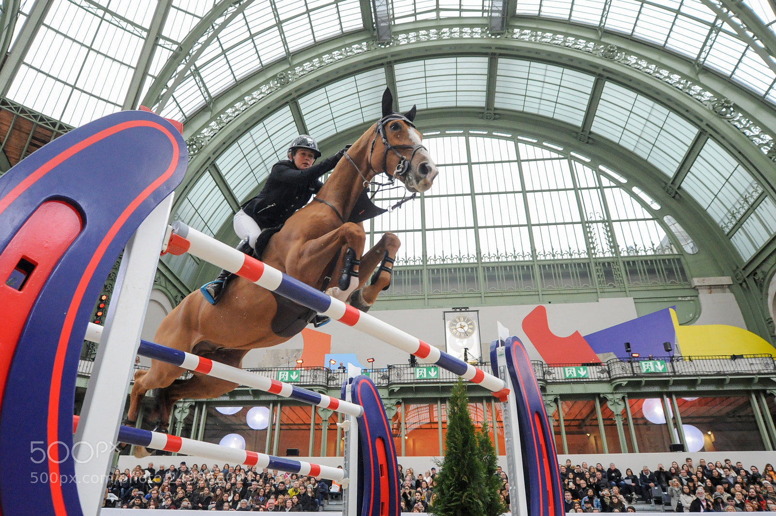 Nikon D3 sample photo. Paris, france, 17.3.2018, sport photography
