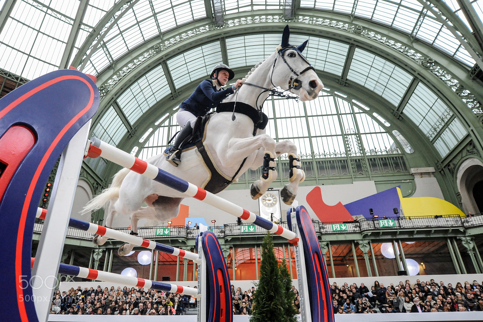 Nikon D3 sample photo. Paris, france, 17.3.2018, sport photography