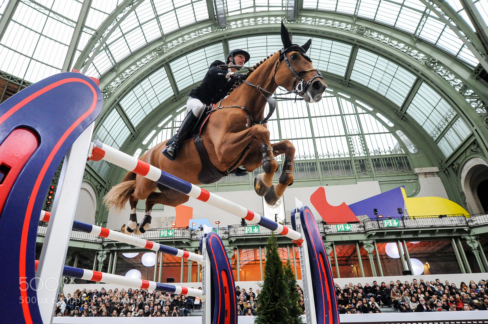 Nikon D3 sample photo. Paris, france, 17.3.2018, sport photography